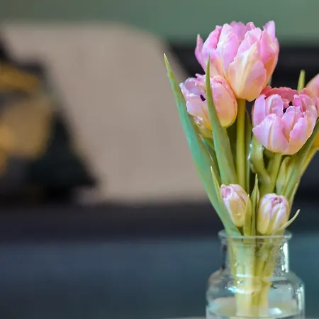 Hinter Der Kraemerbruecke Appartement Erfurt