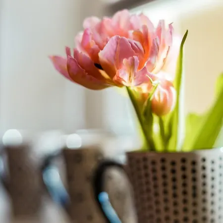 Hinter Der Kraemerbruecke