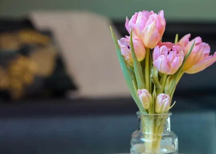 Hinter Der Kraemerbruecke Appartement Erfurt