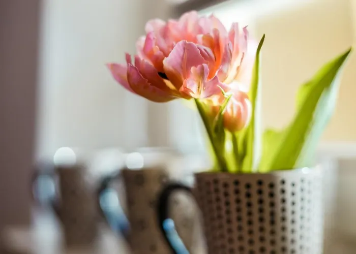 Hinter Der Kraemerbruecke